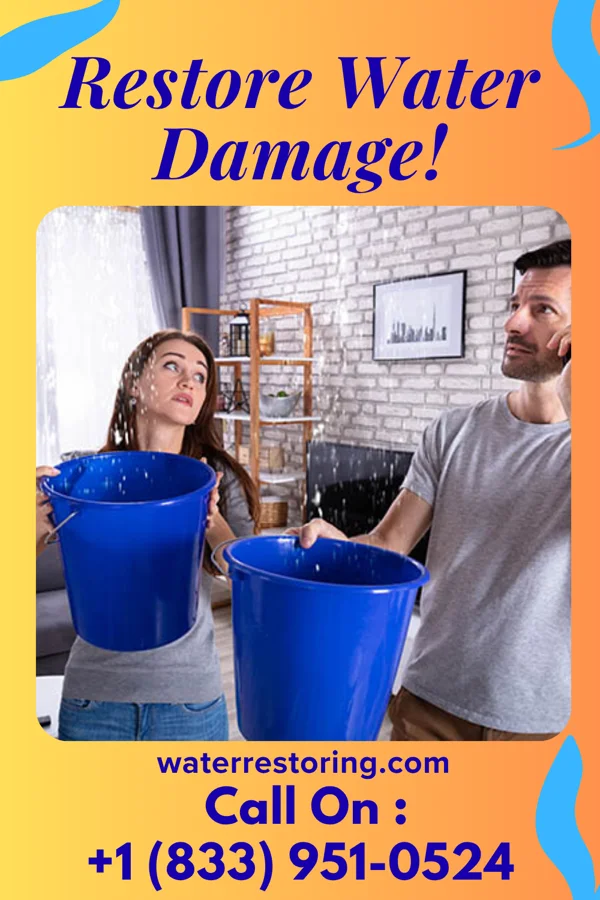 water restoration Zenith Water Solutions Authority Taylorsville