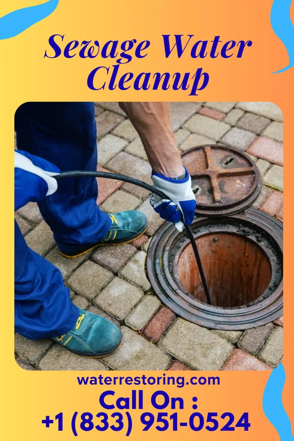 Sewage Water Cleanup in Taylorsville, NC